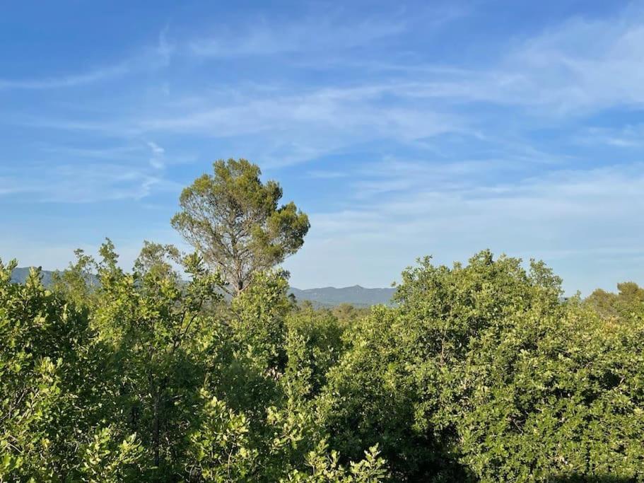Villa Piscine - Gorges Du Verdon, Lac De Sainte-Croix Régusse Dış mekan fotoğraf